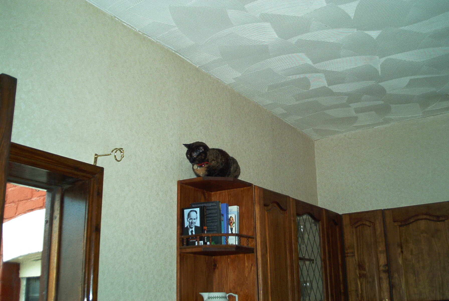 chuftythecat